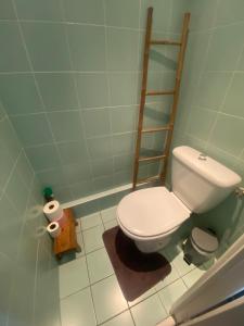 Un baño con un inodoro blanco en una habitación. en Charmant Studio à Deux Pas de la Plage de Pléneuf-Val-André, en Pléneuf-Val-André