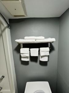 uma casa de banho com WC e toalhas numa prateleira em Econo lodge Kennett em Kennett