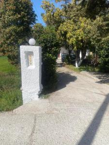 Φωτογραφία από το άλμπουμ του Green House στην Κάρυστο