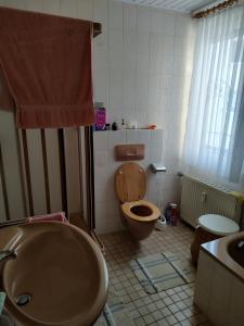 ein Bad mit einem WC und einem Waschbecken in der Unterkunft historisches Winzerhaus mit Moselblick in Lieser