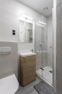 a bathroom with a sink and a shower at DAVE Elegant Apartments KRAKÓW Old Town in Kraków