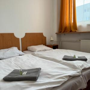 Postel nebo postele na pokoji v ubytování Hotel Avion