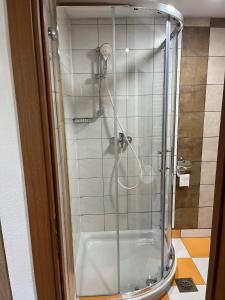 y baño con ducha y puerta de cristal. en Apartments Malivojevič, en Žirovnica