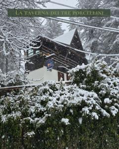 um edifício com uma árvore coberta de neve em frente em Chalet Natura la taverna dei 3 porcellini em Cavaliere