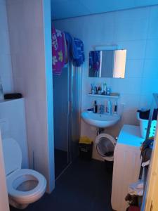 a blue bathroom with a toilet and a sink at La Maison Bleue - La Haye in The Hague