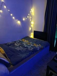 ein Schlafzimmer mit einem Bett mit Beleuchtung in der Unterkunft La Maison Bleue - La Haye in Den Haag