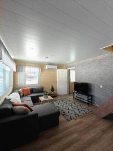 a living room with a couch and a television at Aava Sky Village in Aavasaksa
