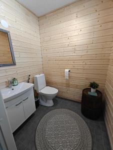 La salle de bains est pourvue de toilettes et d'un lavabo. dans l'établissement Aava Sky Village, à Aavasaksa