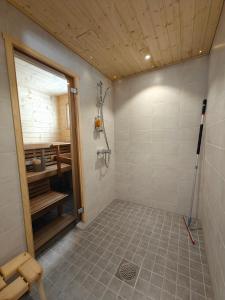 bagno con cabina doccia e doccia di Aava Sky Village ad Aavasaksa