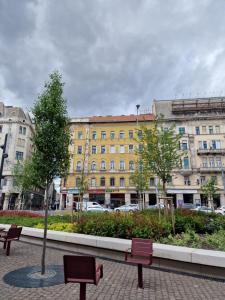 un bâtiment avec un arbre et des bancs devant lui dans l'établissement R38 - Artists luxury home, à Budapest