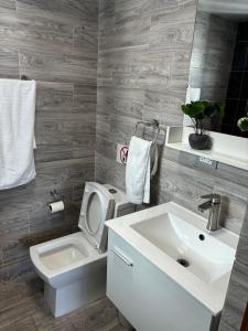 een badkamer met een toilet en een wastafel bij Ejecutivo penthouse en santo domingo in Santo Domingo