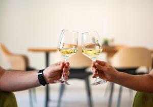 two people holding up glasses of white wine at Alba Spacious Maisonette in Corfu