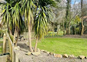 two palm trees in a yard next to a fence at Chapel Barn in Bodmin