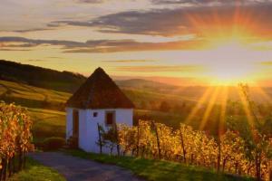 a small white house in a field with the sun setting at Ferienwohnung Rebblick in Müllheim