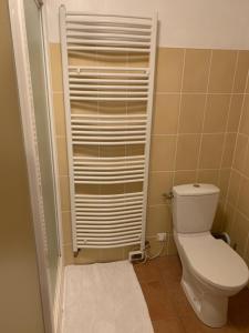 a small bathroom with a toilet and a towel at Maison Le Haut Fée in Serécourt