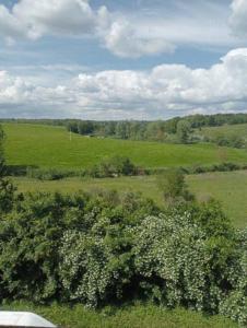 eine Luftansicht eines grünen Feldes mit Bäumen in der Unterkunft maison de campagne au calme, Le Lude in Le Lude