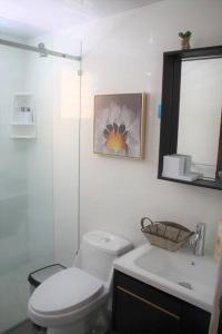 W łazience znajduje się toaleta, umywalka i lustro. w obiekcie Apartamento Equipado, Wifi, AC, TV @drvacationsrental w mieście San Francisco de Macorís
