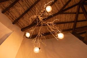 un montón de luces colgando del techo en Pietra Hotel, en Sáchica 48 fotos más