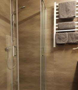 a shower with a glass door in a bathroom at Hotel Landgasthof Hirsch in Marktlustenau