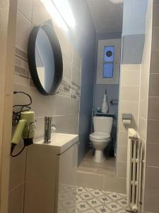 a bathroom with a toilet and a sink and a mirror at Appartement cœur de ville in Soissons +3 photos