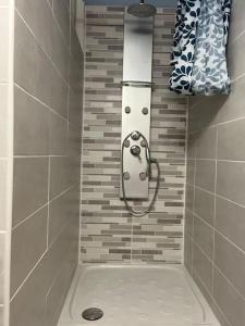 a bathroom with a shower with a toilet in it at Appartement cœur de ville in Soissons