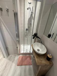 a bathroom with a sink and a shower at Cantore 20 in Verona