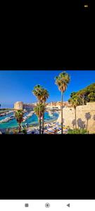 een uitzicht op een strand met palmbomen en de oceaan bij Katarina Old town in Dubrovnik