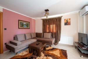uma sala de estar com um sofá e uma televisão em Alexandros Apartments em Paralía Proastíou
