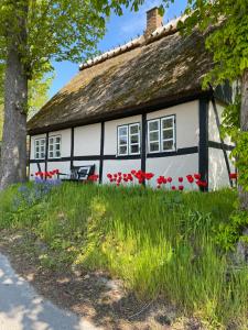 a house with red flowers in front of it at Sofie's Hus - Munkgaard in Hårlev