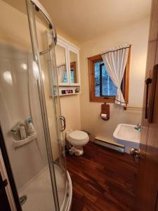 uma casa de banho com um chuveiro, um WC e um lavatório. em Private Rustic Lodge w/ Lakefront Views em Minden