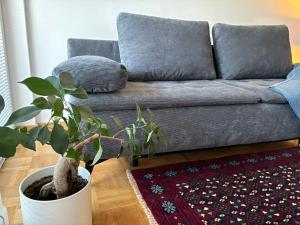 ein Wohnzimmer mit einem Sofa und einer Pflanze in der Unterkunft Ljubljanica Apartment in Ljubljana