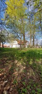 a field with trees and a house in the background at Dom na Mazurach Pilec- Apartament in Pilec