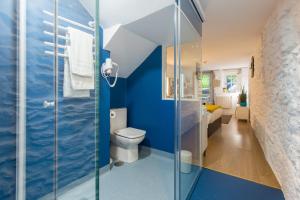 uma casa de banho azul com um WC e um chuveiro em roomPEDRA apartamentos turísticos em Santiago de Compostela