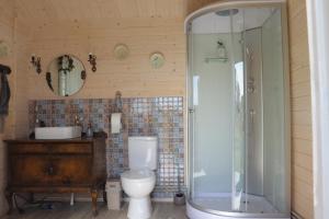 a bathroom with a toilet and a shower and a sink at Dižozoli in Priekule