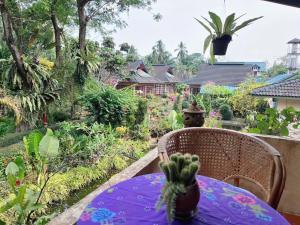 stół z kaktusem na dachu ogrodu w obiekcie Ekman Garden Resort w mieście Sichon