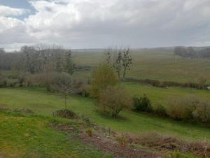 a field with green grass and trees in the distance at Maison de campagne in Le Lude