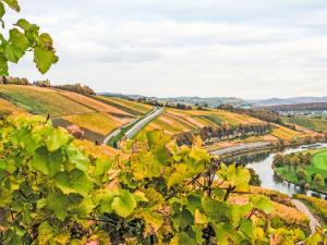 a view of a river in a vineyard at Apartment Greiweldenger Leit As by Interhome in Greiveldange