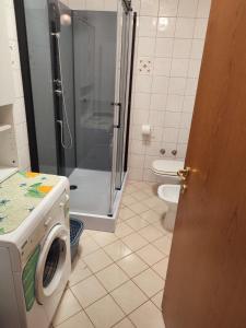 uma casa de banho com uma máquina de lavar roupa e um WC em Fortuna Apartment em Vabriga