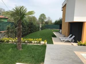 un patio trasero con palmeras y césped en DSF Villas & SPA A16, en Kırkpınar