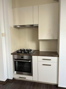 シュフィドニツァにあるApartament Bobrzańska - 4 bedrooms sypialnieのキッチン(コンロ、白いキャビネット付)