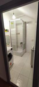 a bathroom with a shower and a washing machine at Rincon de Valdaliga in Valdaliga 