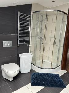 シュフィドニツァにあるApartament Bobrzańska - 4 bedrooms sypialnieのバスルーム(シャワー、トイレ付)、