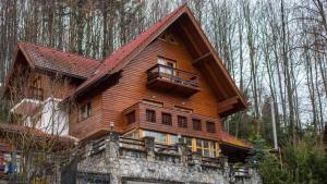 uma grande casa de madeira no meio de uma floresta em ALISIO em Sinaia