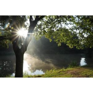 Peisaj natural din apropierea acestei case de vacanță