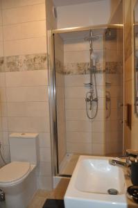 ポラニツァ・ズドルイにあるApartament Klausのバスルーム(シャワー、トイレ、シンク付)