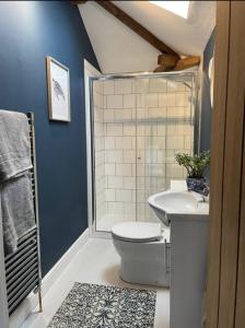 a bathroom with a toilet and a sink at Evelith Manor Barns in Shifnal
