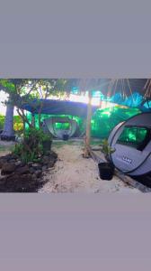 a car parked under a tree with a plant at Haranai Camping & Tours in Te-Fare-Arii