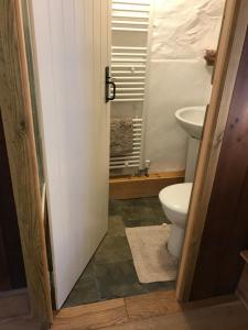 a bathroom with a toilet and a sink at Tiny Cosy Snug in Pembrokeshire