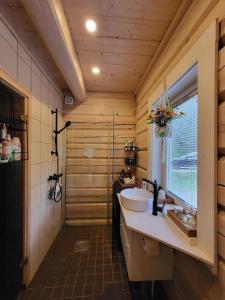 a bathroom with a sink and a window at Käbi Puhkemaja in Elbiku +8 photos