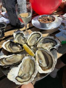 a plate of oysters on a table with a glass of wine at T2 Cosy avec jardin Barcares Village in Le Barcarès